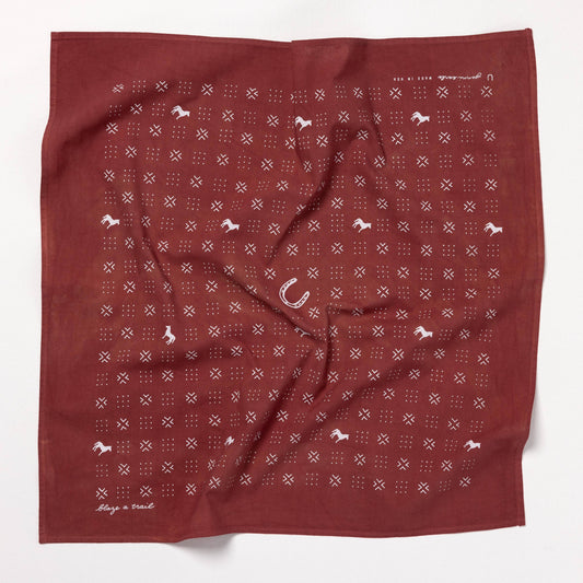 “blaze a trail” bandana