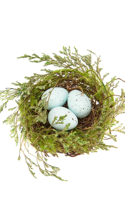 ROBIN EGG NEST